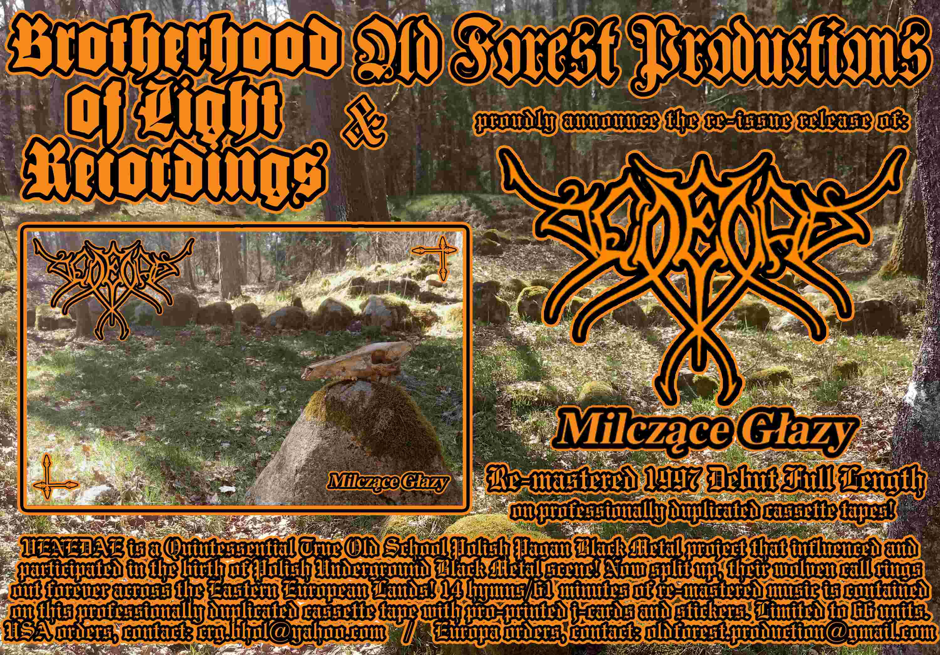 Venedae - Milczaca Głazy  Tape  - Old Forest Production/Brotherhood of Light Recordings image 1